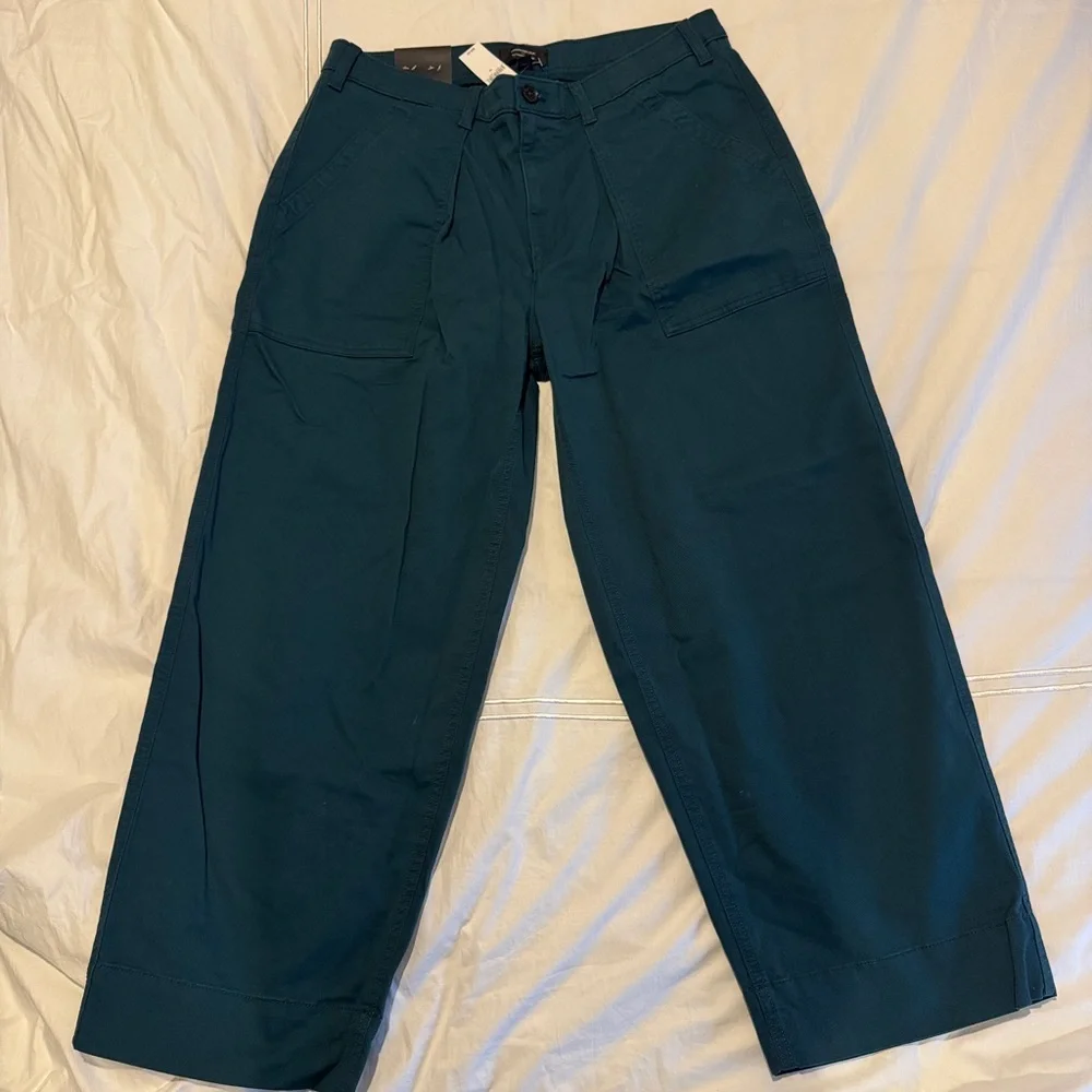 Banana Republic Factory Authentic Chino Barrel Pants in teal NWT size 12 - Picture 2 of 5